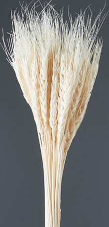 Пшеница, длина 60-70 см, 50-60 гр, 50 шт/упак., белый