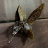Украшение подвесное Колибри, 6,5*6см, прозрачный/шампань, 1/6