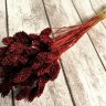 Фаларис бордо 45см, 42г