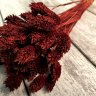 Фаларис бордо 45см, 42г
