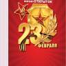 3-80 Набор карточек 23 февраля Веточка, 40шт