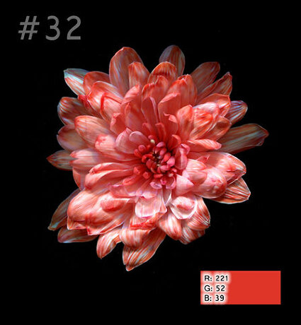 Краска для срезанных цветов, 1л, №32 коралловый 
