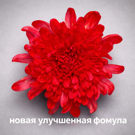 Краска для срезанных цветов, 300мл, №11 красный