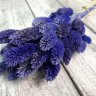 Фаларис синий 65см, 64г