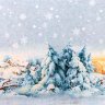 Декупажная карта 32*45см "Зимний лес", 1/6