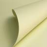 Фоамиран 60*70см Пастель, 1,2мм, Китай, шампань, 1/10