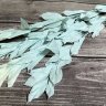 Рускус 50-60см, 5шт., голубой