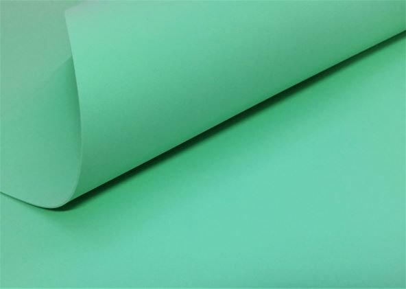 Фоамиран 60*70см, 2мм, весенне-зелёный 024, 1/10