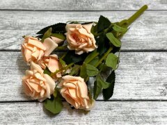 Роза премиум Н=30см, персиковый