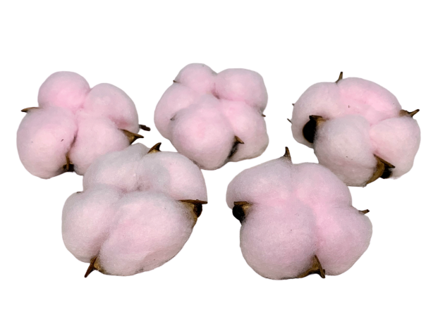 Хлопковые коробочки, светло-розовый, 5 шт., 1/6