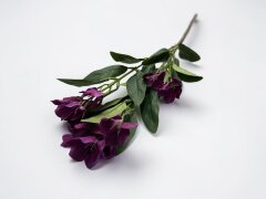 Альстромерия Н=70см, фиолетовый