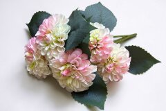 Букет георгинов 10*60см, бело-розовый