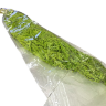 Сухоцвет "Амарантус", длина 70-100 см, салатовый, 450-500гр