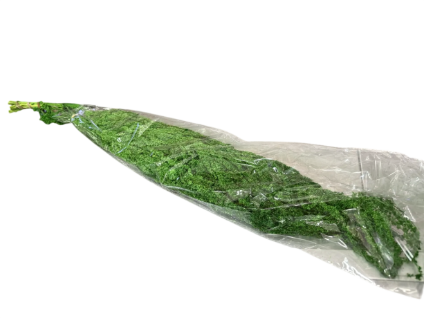 Сухоцвет "Амарантус", длина 70-100 см, зелёный, 450-500гр