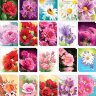 3-80 Карточка малая с рисунком, микс