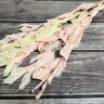 Рускус 50-60см, 5шт., светло-розовый